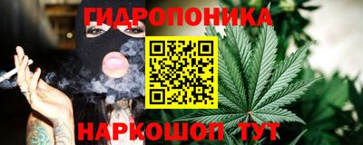 прущие крисы Шебекино