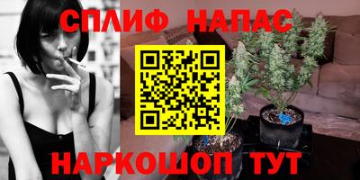 прущие крисы Шебекино