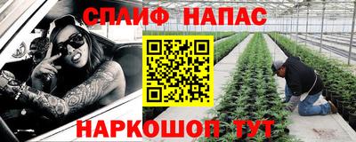 прущие крисы Шебекино