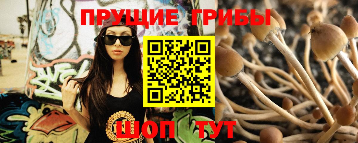 Галлюциногенные грибы прущие грибы Бахчисарай
