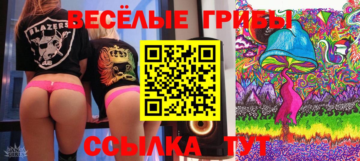 Бахчисарай  купить наркотик  Вход с VPN  Псилоцибиновые грибы мицелий 